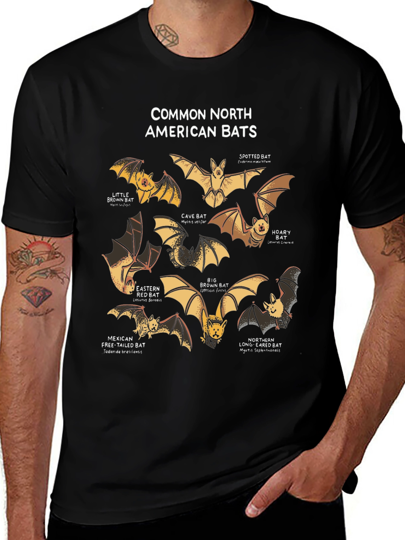 Common North American Bats T-Shirt